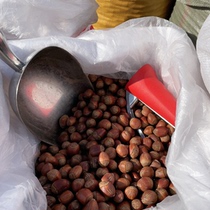 Long White Hills Ginseng Early Market Big Hazelnut 2 Catties