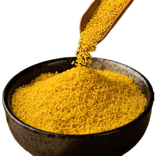 新疆天山小米 黄小米 真空包装 杂粮500g*2袋 - 图3