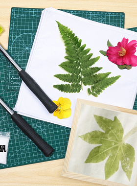 植物敲拓染材料包可开发票