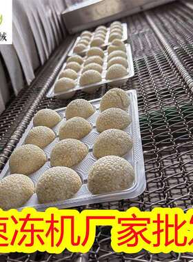 旺源隧道式速冻机 大虾冷冻线 章鱼冷冻加工生产设备