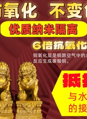 铜狮子摆件一对纯黄铜宫门坐狮公母北京镇宅家居门口玄关装饰摆设
