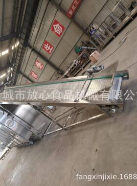 肉松翻板隧道式烘干机荔枝龙眼烘干机辣椒材烘干设备