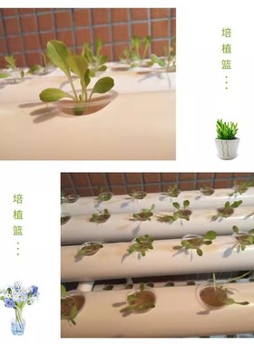 阳台管道式水耕蔬菜种植机无土栽培设备水培系统立体多层种菜架