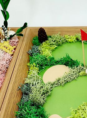 定制diy苔藓画运动场景足球网球篮球团建暖场手工沙龙干花材料包