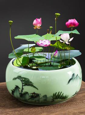 睡莲水培碗莲花盆陶瓷高档青瓷家用室内水养鱼缸碗莲水仙花盆装饰