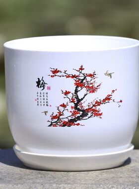 君子兰白瓷PP树脂盆栽花盆花瓶