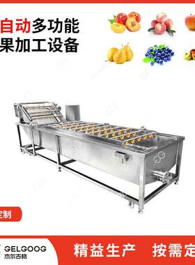 全自动洗枣机水果净果清洗风干加工线设备洗果机红枣清洗机