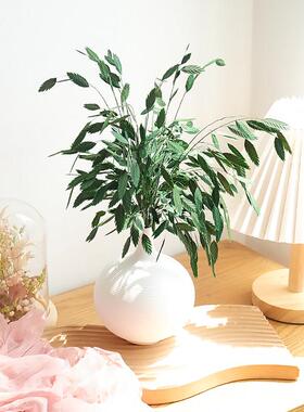 永生小盼草干花花束家居装饰摆件ins网红风动草砖石草拍摄道具