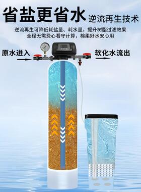 工业全自动软化水设备钠离子反渗透交换器地下水锅炉除水垢软水机