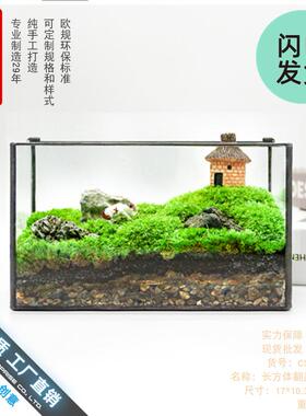 生态瓶青苔微景观盒子玻璃房盆景苔藓微缩森林缸桌面花盆摆件长方