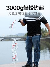 Ice удочкой 冰钓竿套装全套特价冬钓钓鱼竿小海竿冰钓杆大导眼冰钓鱼竿