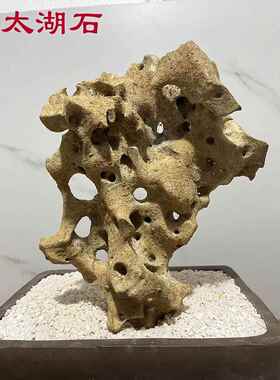 太湖石 假山盆景石头小摆件鱼缸造景附石观光石天然石材原石抱石