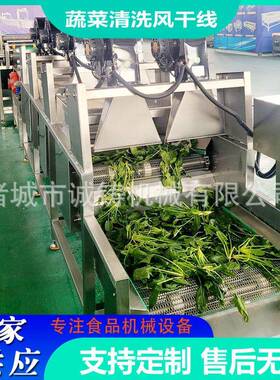 商用全自动果蔬清洗风干线304不锈钢袋装食品包装袋清洗风干线