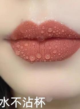 商超同款正品不沾杯不掉色防水显白姨妈肉桂奶茶豆沙胡萝卜色口红
