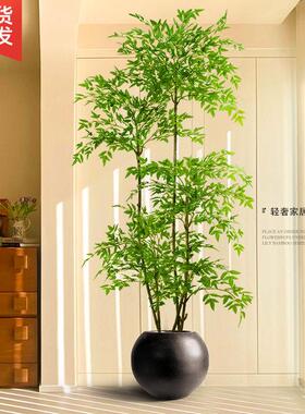 南天竹彷真绿色植物高级感客厅轻奢室内大型装饰树假植物落地盆栽