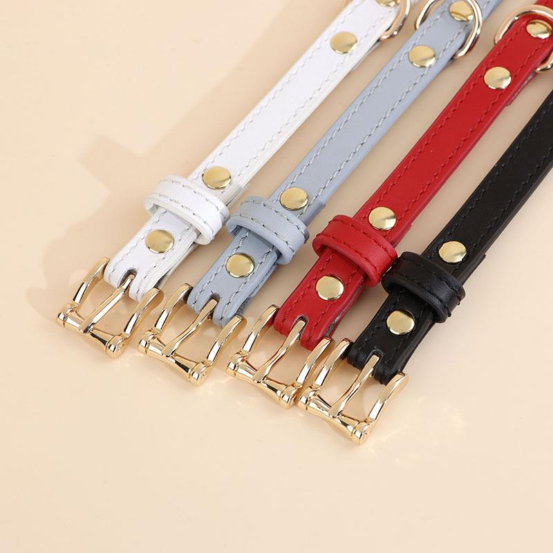 Pet dog collar leather puppy cat special French Dou Teddy small and medium-sized dog collar cute cat collar