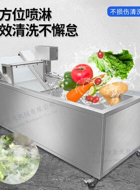 多功能清洗机气泡冲浪水果自动提升喷淋洗菜机蔬菜全自动