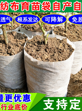 无纺布育苗批发降解容器热销花瓶