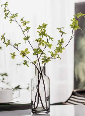 MOLA·Simple·花瓶家用客厅简约轻奢玻璃台面插花装饰花器丨简意