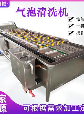 蓝莓压喷淋泡清洗洗机洗全自8748645动芦笋气泡清设备魔气芋爽气