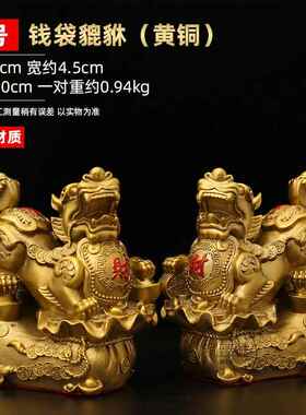 正品铜带财富和宝藏皮秀装饰对男女财富饰皮秀礼家居客厅装来公司