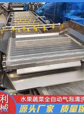 全自动翻浪式气泡清洗机水果蔬菜清洗设备土豆去泥喷淋清洗机