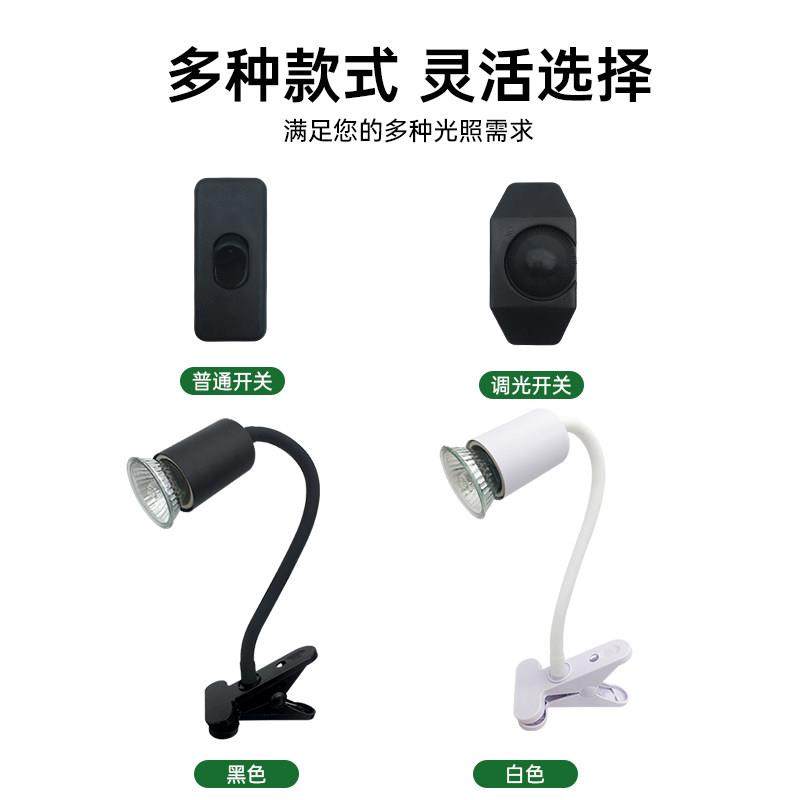 乌龟晒背灯用品uvb灯加热灯乌龟灯uva爬宠灯陶瓷全光谱太阳灯宠物,淘宝优惠券,粉丝福利购,淘宝优惠卷