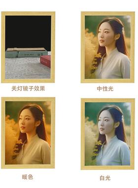 镜子灯光画夜灯发光相框DIY创意礼物 可定制镜面发光画现代简约风