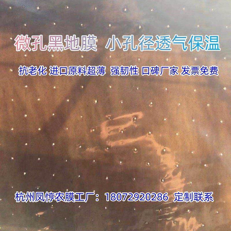 农膜微孔地膜魔芋辣椒专用膜带孔透气透水除草PE抗老化,淘宝优惠券,粉丝福利购,淘宝优惠卷