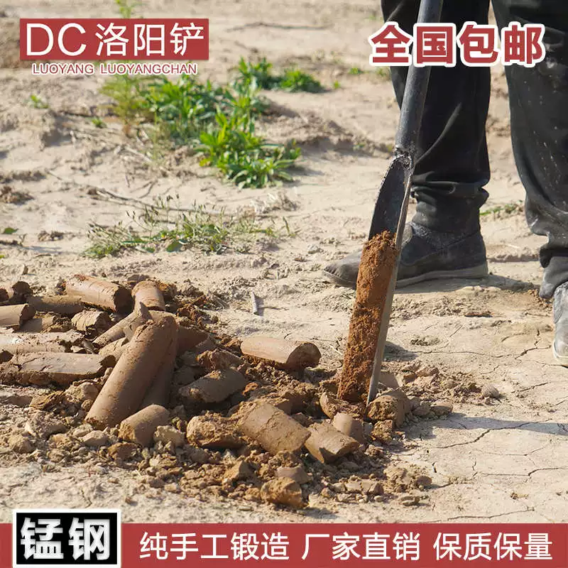 Профессиональная лопата Luoyang лопатная головка берет почву и копает ямы.