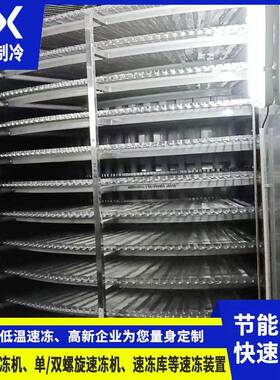 双螺旋速冻机包子饺子肉类食品蔬菜包锁鲜速冻装置急冻
