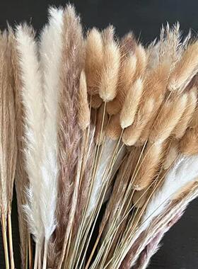 100Pcs/lot Pampas Set Decoration Fluffy Natural Living Room