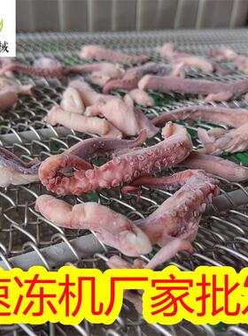 全冷自动隧式冻机 鱼道尾流态化冷冻线 705竹笋冻加工生产设速备