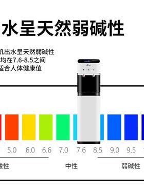 企业前台立式直饮水净饮机12升商用过滤加热一体富锶弱碱性净水机
