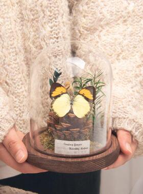 玻璃罩紫色立体真蝴蝶元素手工标本微景观摆件送女生日礼物高级感