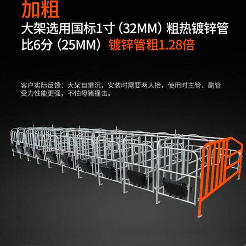 母猪养殖复合定位栏热镀锌产床限位栏养猪畜牧设备机械 - 图1