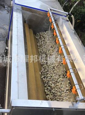 全自动花生清洗机不锈钢毛刷式花生果清洗设备大型洗花生机器