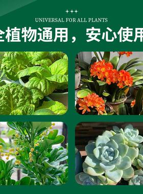 艾尚棵花草植物喜酸营养液绿植小盆栽三角梅栀子花花养花专用