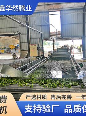 毛豆荚豌豆粒速冻加工大型冷冻设备玉米粒西蓝花预处理加工设备