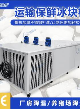 5吨工业制冰机5KG10KG15KG20KG25KG50KG可供选择大冰块机厂家直销
