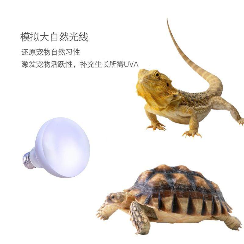 芦丁鸡保温灯补钙取暖爬宠乌龟晒背灯鹦鹉宠物育雏小鸡加热照明灯,淘宝优惠券,粉丝福利购,淘宝优惠卷