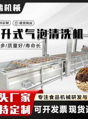 内槽提升式小龙虾气泡清洗机 田螺肉清洗设备 商用鲅鱼清洗解冻机
