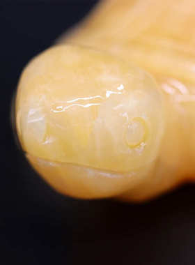 天然黄玉一体雕刻乌龟 长寿龟摆件 玉石加工摆件家居摆设