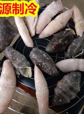 速冻饺子加工成套加工流水线 速冻果蔬蓝莓用流态化冻机 旺源