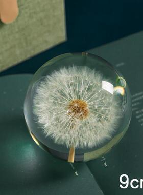 正品蒲公音标晶本树脂水球植物摆件滴胶成品永生花镇纸乐英盒小夜