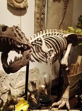 霸王恐龙模拟骨架骨架化石大型家庭动物饰品橱窗装饰树脂工艺品