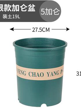 绿萝水培批发花盆塑料小大花瓶