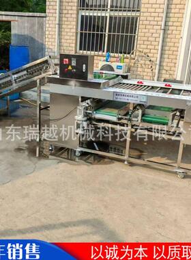 工业酸黄瓜分级筛选机商用土豆地瓜滚杠式筛选机大型芒果选果机