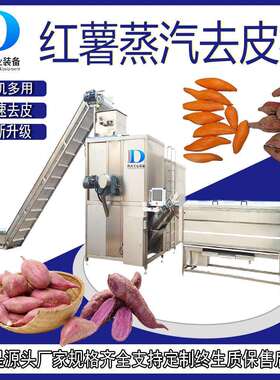水蜜桃黄桃蒸汽去皮机 果蔬加工设备 土豆连续式脱皮机