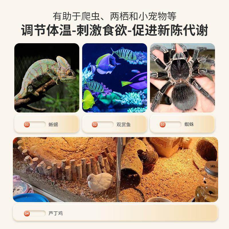 usb加热垫爬宠控温鱼缸自动恒温孵化爬虫宠物鸟温控器移动充专用,淘宝优惠券,粉丝福利购,淘宝优惠卷